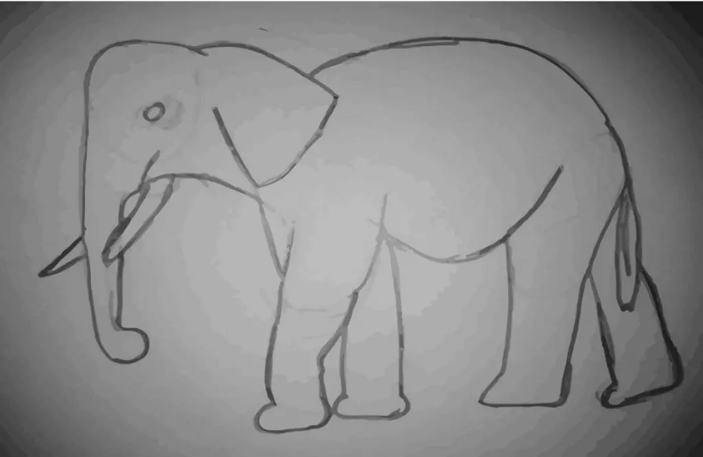 detaily slona