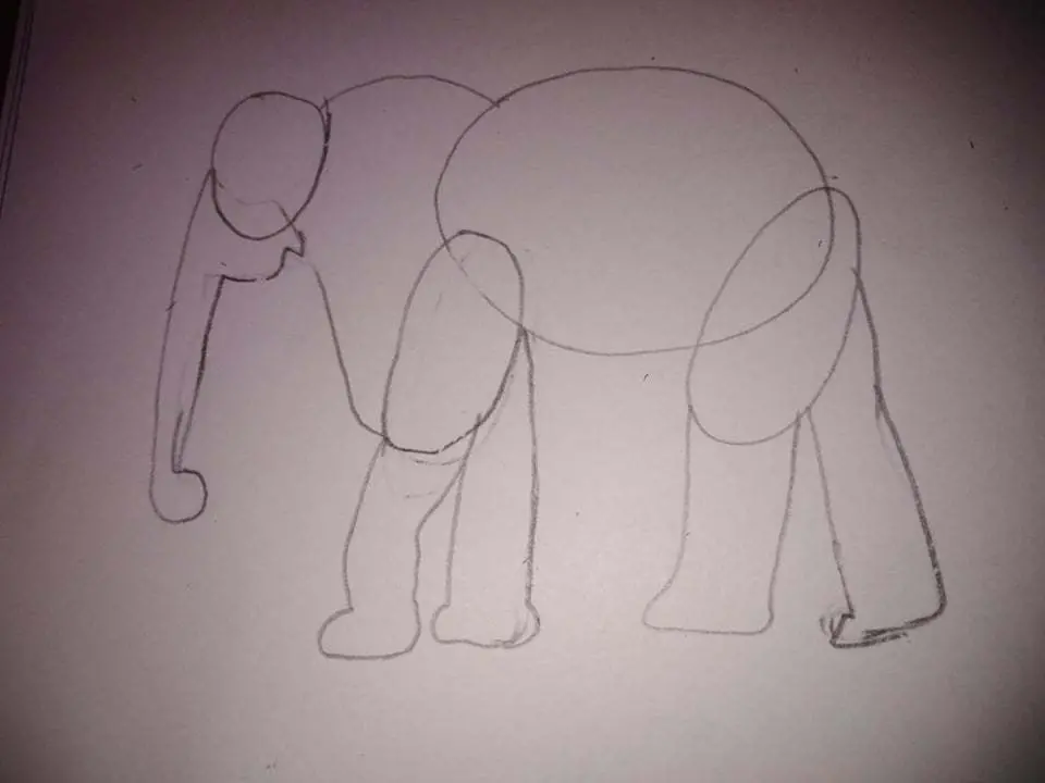 obrysy trupu u slona