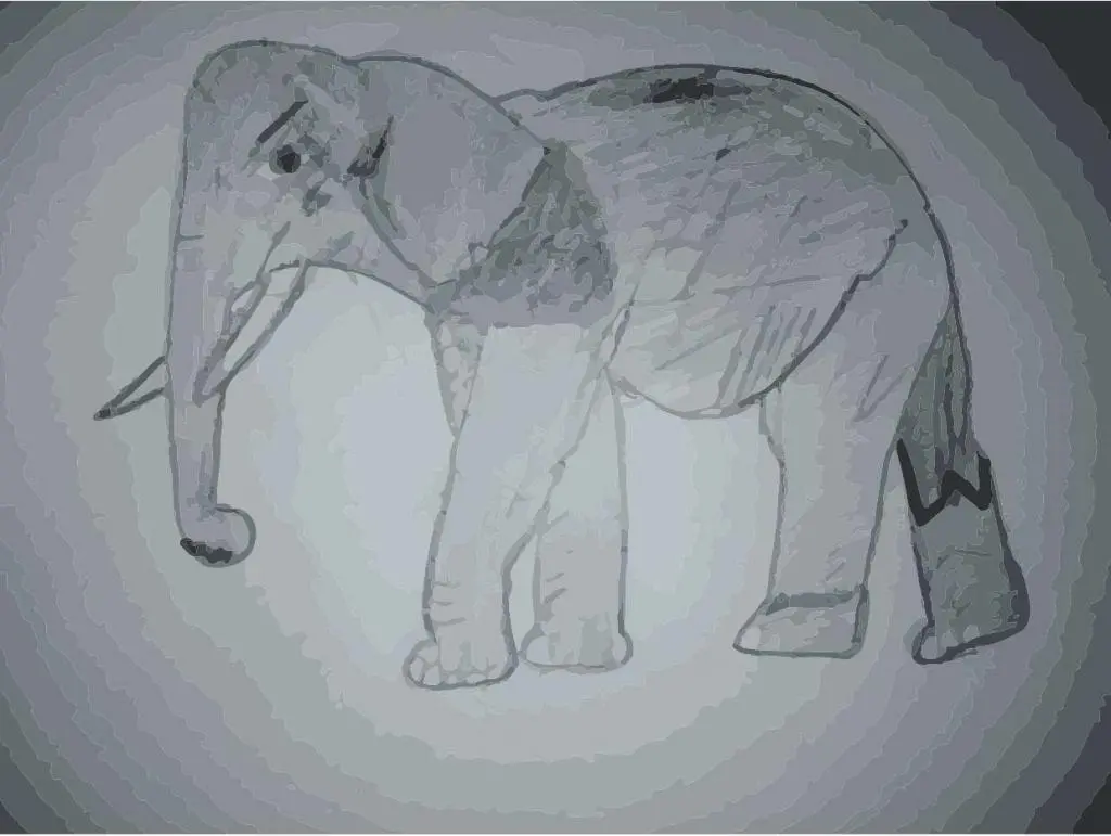 vybarvení slona